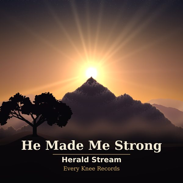 Cover art for He Made Me Strong